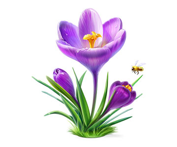 Custom icons - Flower